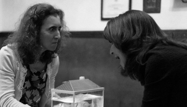 Por un infierno con fronteras