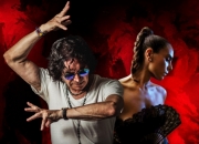 Flamenco Joven´17