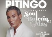 Soul, Bulería y Más