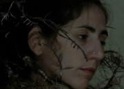 Raices Trenzas