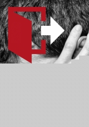 Cuando yo pueda olvidar