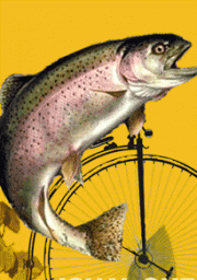 Igual que un pez necesita una bicicleta